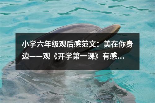 小學(xué)六年級觀后感范文：美在你身邊——觀《開學(xué)第一課》有感 (400字)