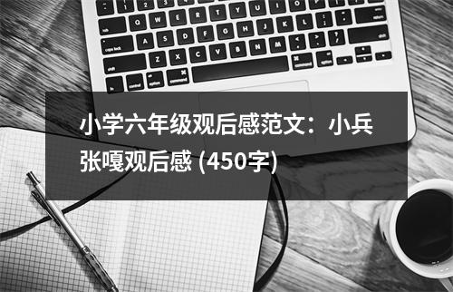 小學(xué)六年級觀后感范文：小兵張嘎觀后感 (450字)