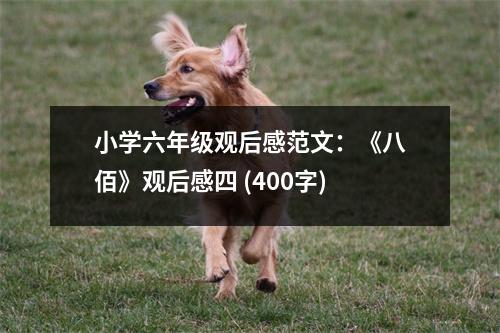 小學(xué)六年級觀后感范文：《八佰》觀后感四 (400字)