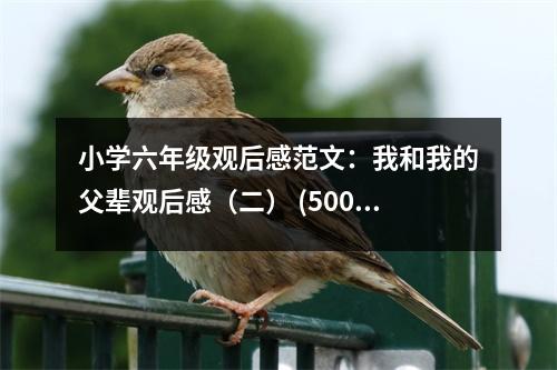 小學(xué)六年級觀后感范文：我和我的父輩觀后感（二） (500字)