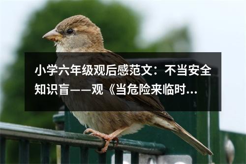 小學(xué)六年級觀后感范文：不當(dāng)安全知識盲——觀《當(dāng)危險來臨時》有感 (400字)