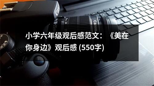 小學(xué)六年級觀后感范文：《美在你身邊》觀后感 (550字)