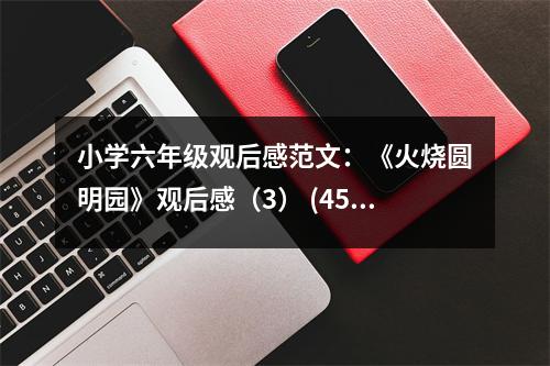 小學六年級觀后感范文：《火燒圓明園》觀后感（3） (450字)