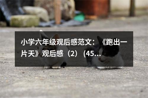 小學六年級觀后感范文：《跑出一片天》觀后感（2） (450字)