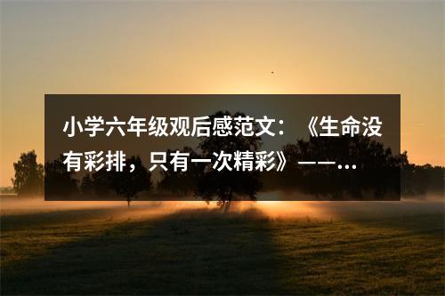 小學(xué)六年級觀后感范文：《生命沒有彩排，只有一次精彩》——觀《安全伴我生長》后感 (500字)