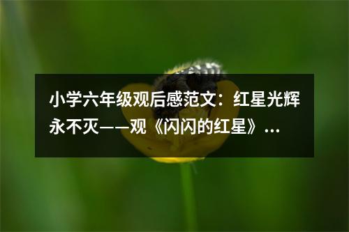 小學(xué)六年級觀后感范文：紅星光輝永不滅——觀《閃閃的紅星》有感 (450字)