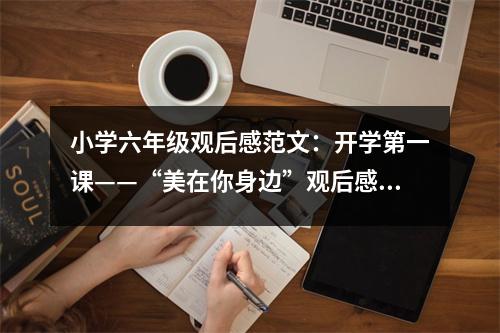 小學(xué)六年級觀后感范文：開學(xué)第一課——“美在你身邊”觀后感 (450字)