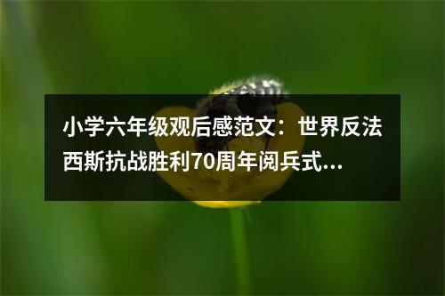 小學(xué)六年級(jí)觀后感范文：世界反法西斯抗戰(zhàn)勝利70周年閱兵式觀后感 (450字)