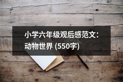小學(xué)六年級(jí)觀后感范文：動(dòng)物世界 (550字)
