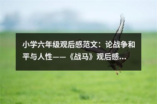 小學(xué)六年級(jí)觀后感范文：論戰(zhàn)爭(zhēng)和平與人性——《戰(zhàn)馬》觀后感 (400字)