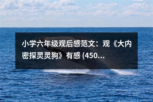 小學(xué)六年級(jí)觀后感范文：觀《大內(nèi)密探靈靈狗》有感 (450字)