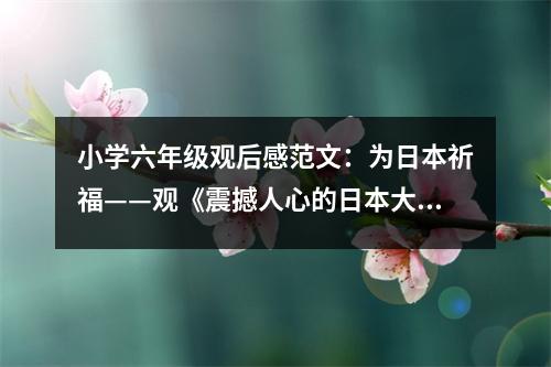 小學(xué)六年級(jí)觀后感范文：為日本祈?！^《震撼人心的日本大地震》有感 (400字)