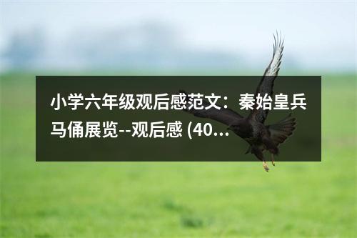 小學(xué)六年級(jí)觀后感范文：秦始皇兵馬俑展覽--觀后感 (400字)