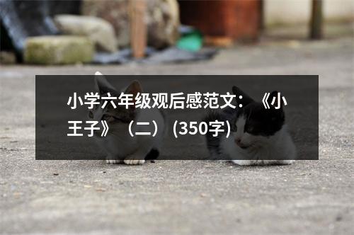 小學(xué)六年級(jí)觀后感范文：《小王子》（二） (350字)