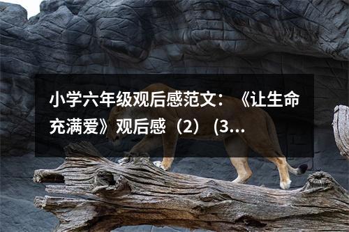 小學(xué)六年級(jí)觀后感范文：《讓生命充滿愛》觀后感（2） (350字)
