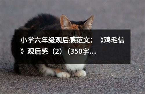 小學(xué)六年級(jí)觀后感范文：《雞毛信》觀后感（2） (350字)