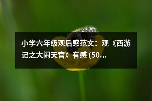 小學(xué)六年級(jí)觀后感范文：觀《西游記之大鬧天宮》有感 (500字)