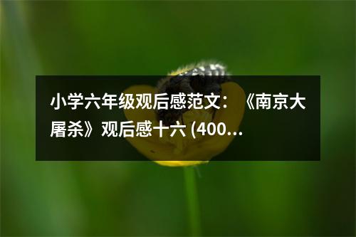 小學(xué)六年級觀后感范文：《南京大屠殺》觀后感十六 (400字)
