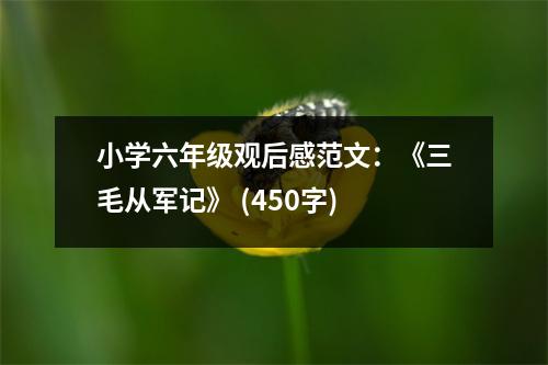 小學六年級觀后感范文：《三毛從軍記》 (450字)