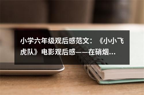 小學六年級觀后感范文：《小小飛虎隊》電影觀后感——在硝煙中成長 (450字)