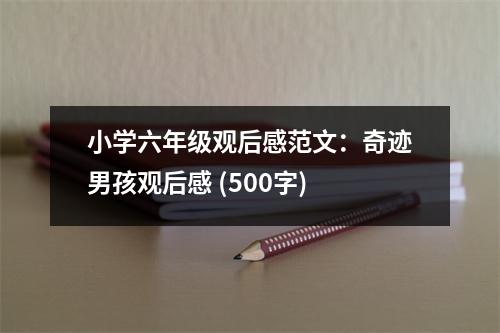 小學(xué)六年級(jí)觀后感范文：奇跡男孩觀后感 (500字)