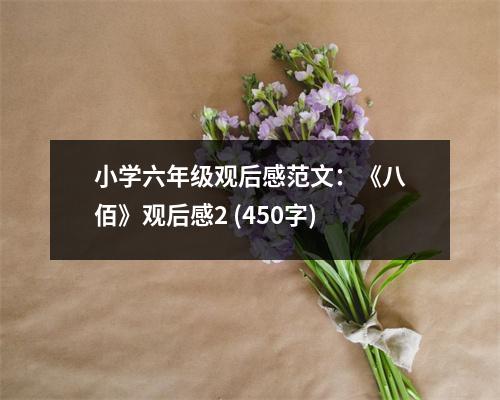 小學(xué)六年級(jí)觀后感范文：《八佰》觀后感2 (450字)