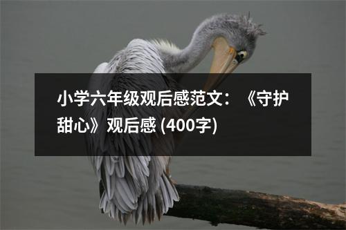 小學(xué)六年級(jí)觀后感范文：《守護(hù)甜心》觀后感 (400字)