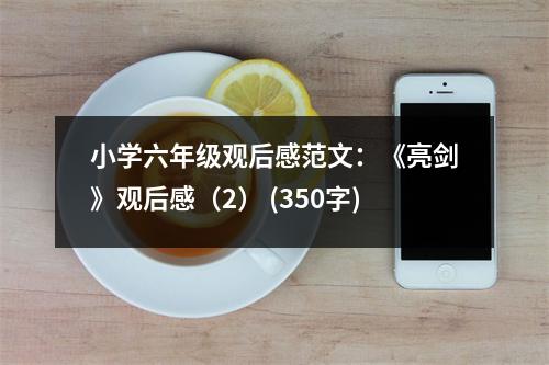 小學(xué)六年級觀后感范文：《亮劍》觀后感（2） (350字)