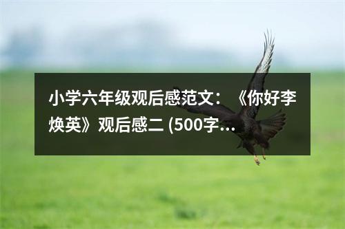 小學(xué)六年級觀后感范文：《你好李煥英》觀后感二 (500字)