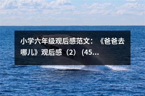 小學(xué)六年級觀后感范文：《爸爸去哪兒》觀后感（2） (450字)
