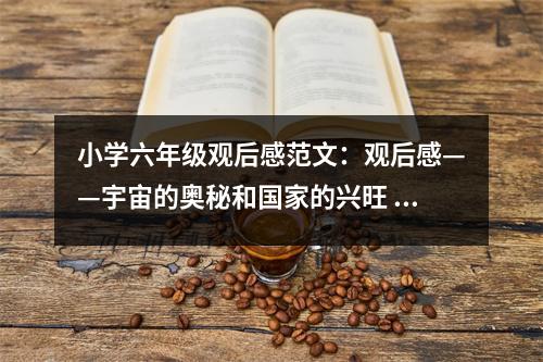 小學(xué)六年級觀后感范文：觀后感——宇宙的奧秘和國家的興旺 (500字)