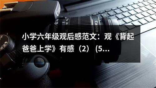 小學(xué)六年級觀后感范文：觀《背起爸爸上學(xué)》有感（2） (500字)