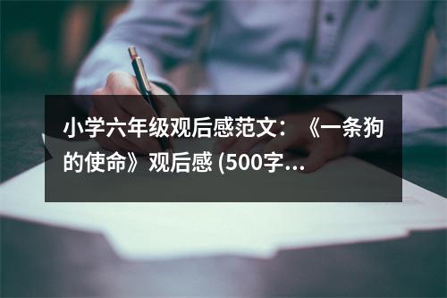 小學(xué)六年級觀后感范文：《一條狗的使命》觀后感 (500字)
