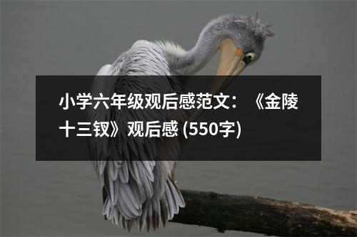 小學(xué)六年級觀后感范文：《金陵十三釵》觀后感 (550字)