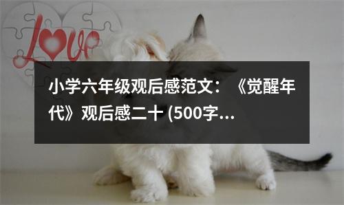小學(xué)六年級(jí)觀后感范文：《覺(jué)醒年代》觀后感二十 (500字)