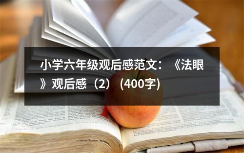 小學(xué)六年級(jí)觀后感范文：《法眼》觀后感（2） (400字)
