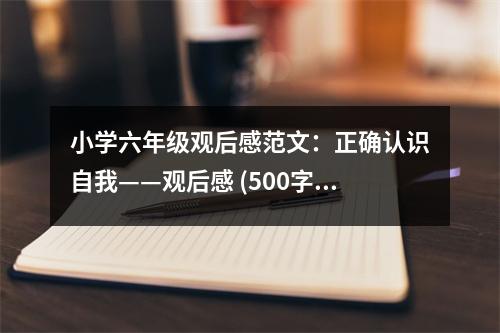 小學(xué)六年級(jí)觀后感范文：正確認(rèn)識(shí)自我——觀后感 (500字)