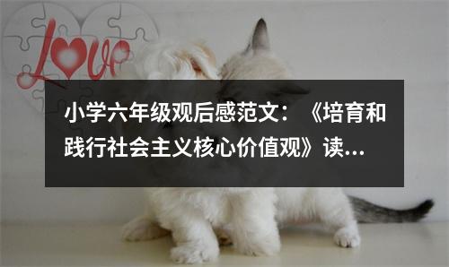 小學(xué)六年級觀后感范文：《培育和踐行社會主義核心價值觀》讀后感 (450字)