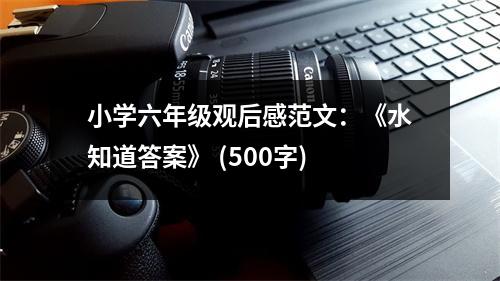 小學(xué)六年級觀后感范文：《水知道答案》 (500字)