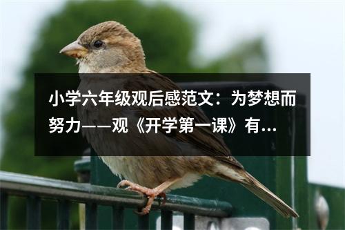 小學(xué)六年級(jí)觀后感范文：為夢(mèng)想而努力——觀《開(kāi)學(xué)第一課》有感 (400字)