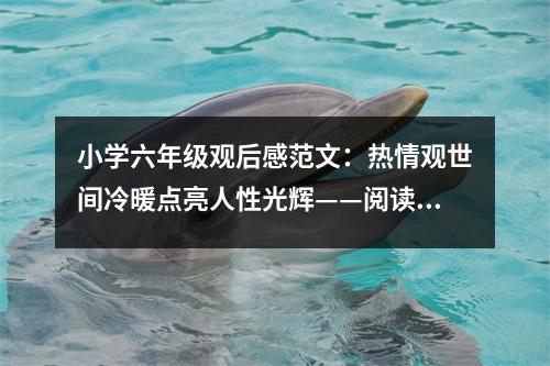 小學(xué)六年級(jí)觀后感范文：熱情觀世間冷暖點(diǎn)亮人性光輝——閱讀《水滸傳》有感 (450字)