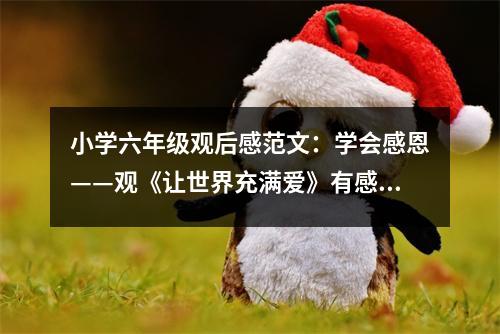 小學(xué)六年級(jí)觀后感范文：學(xué)會(huì)感恩——觀《讓世界充滿愛》有感（2） (450字)