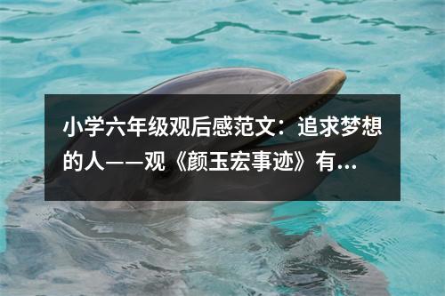 小學(xué)六年級(jí)觀后感范文：追求夢(mèng)想的人——觀《顏玉宏事跡》有感 (400字)