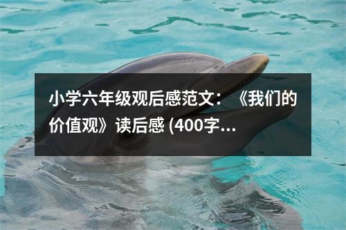 小學(xué)六年級(jí)觀后感范文：《我們的價(jià)值觀》讀后感 (400字)