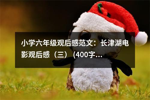 小學六年級觀后感范文：長津湖電影觀后感（三） (400字)