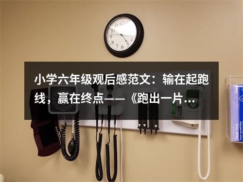 小學(xué)六年級(jí)觀后感范文：輸在起跑線，贏在終點(diǎn)——《跑出一片天》觀后感 (400字)