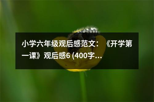 小學(xué)六年級觀后感范文：《開學(xué)第一課》觀后感6 (400字)