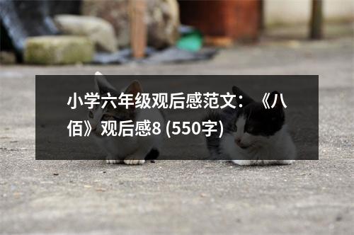 小學(xué)六年級(jí)觀后感范文：《八佰》觀后感8 (550字)