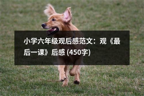 小學(xué)六年級(jí)觀后感范文：觀《最后一課》后感 (450字)