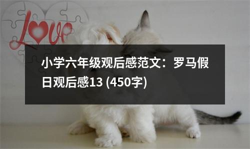 小學(xué)六年級(jí)觀后感范文：羅馬假日觀后感13 (450字)